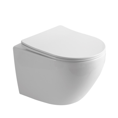 Унитаз подвесной PLAZA PL30116DP Унитаз подвесной PLAZA PL30116DP