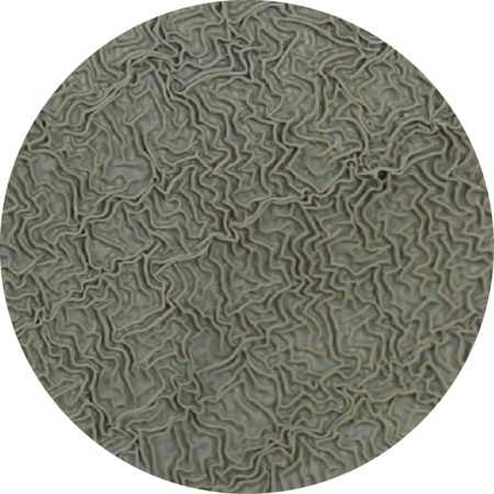 Перчатки BOXER из полиэстера с латексным покрытием, зеленые, BXR1910